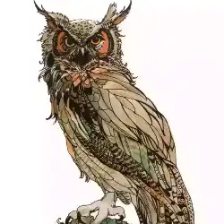 Owletta